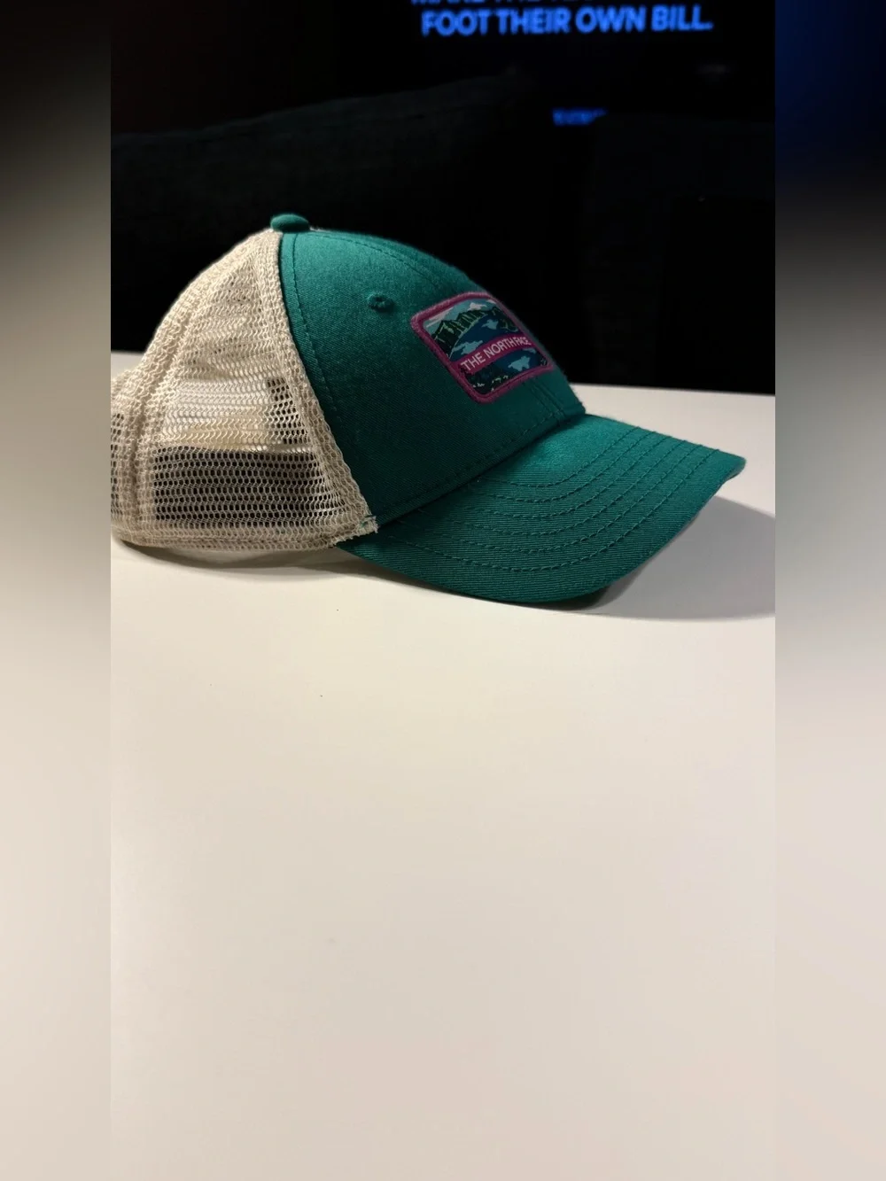The North Face Teal & White Trucker Hat, Mountain Patch